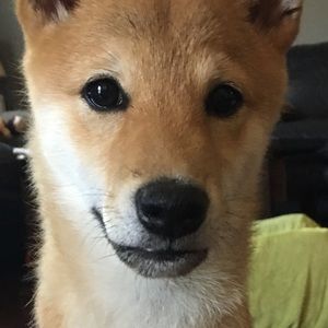 Meet your Posher, Hannahhannah